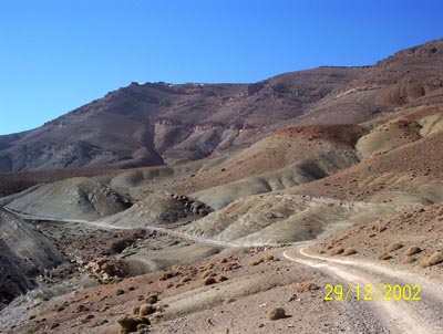 Clicca per vedere la foto ingrandita